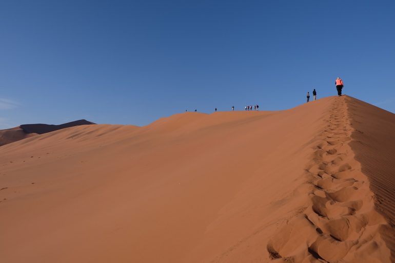 explore the desert