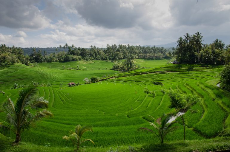Bali clouds agriculture farm