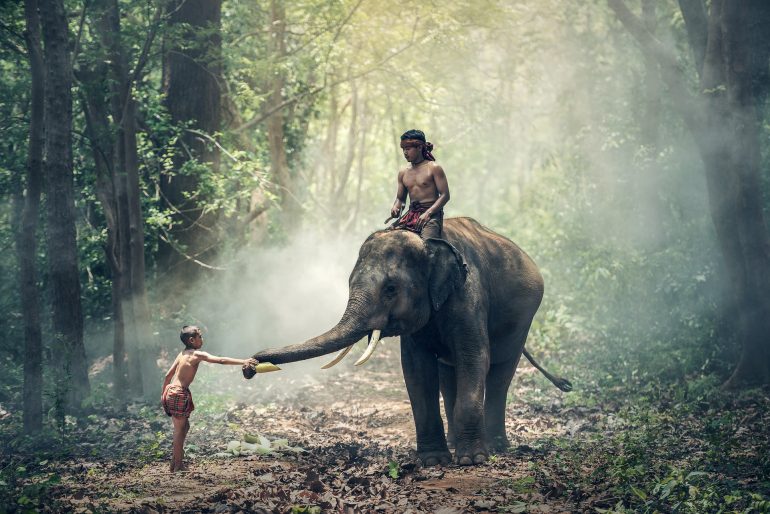 A child riding an elephant