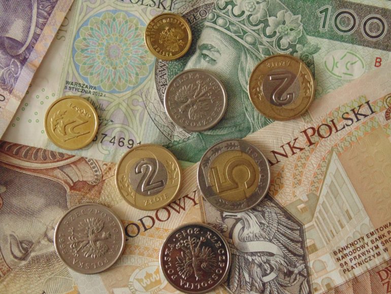 Polish currency