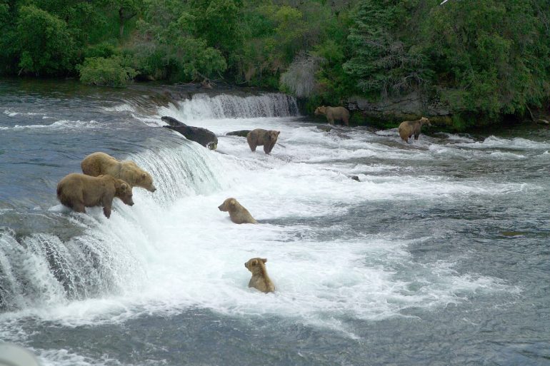 Katmai