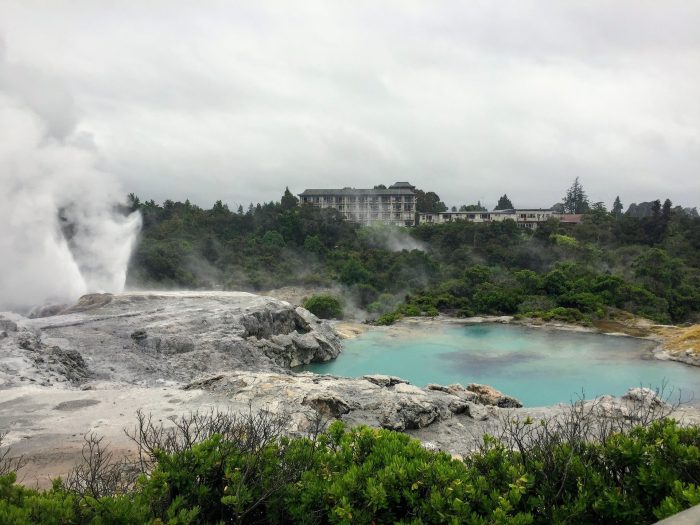 geyser at rotoru.