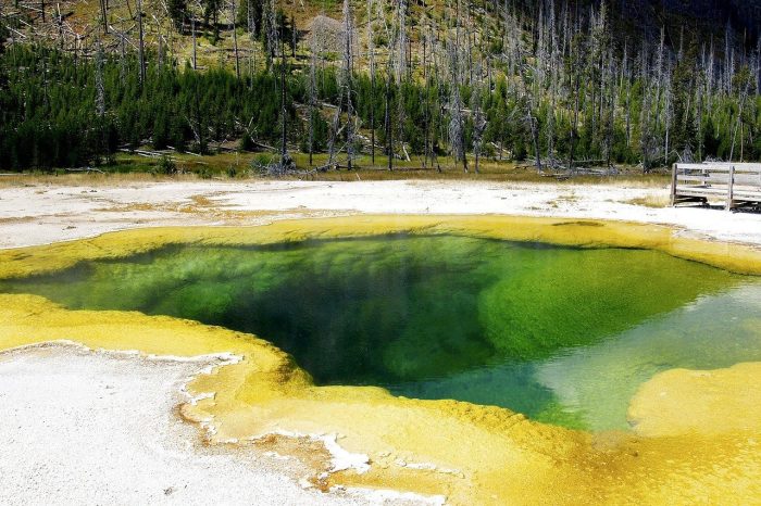 yellowstone national park 58525 1280