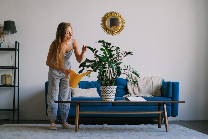 a girl watering the plants